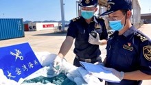 大连海关查获“洋垃圾”21.5吨 系中国禁止进口固体废物