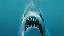 Watch the latest JAWS (1975) online with English subtitle for free English Subtitle