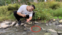 熊二制作简易鱼竿，用直钩模仿姜太公钓鱼，能不能做到愿者上钩？