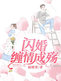 闪婚缠情成殇