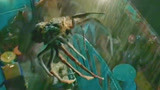 怒海狂蛛：变异巨蛛登船疯狂吃人，众人险境求生，特效逼真太恐怖