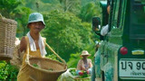 湄公河行动：毒贩为让村民终罂粟，不听话的村民，竟砍断双手双脚