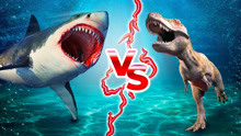 巨齿鲨VS霸王龙，陆地咬合力最强生物和海洋咬合力最强生物的对决