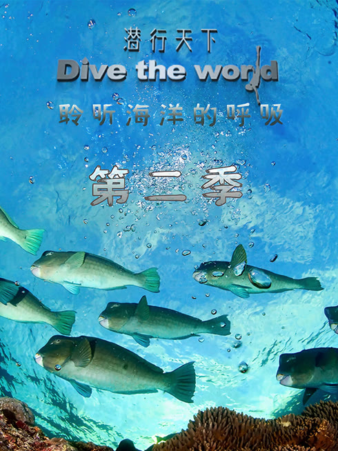 Watch the latest Dive The World online with English subtitle for free English Subtitle