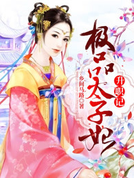 极品太子妃升职记