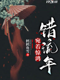 宛若惊鸿错流年