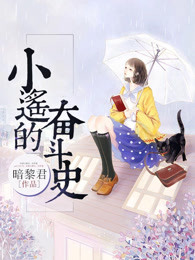 小遥的奋斗史