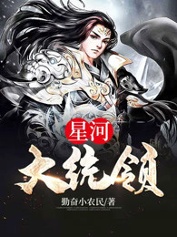 星河大统领