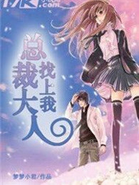 总裁大人找上我