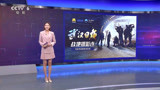 《武汉日夜》“战地摄影连”融媒体直播正在进行中