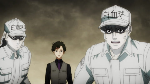 Cells at Work Season 2 Episode 2 Release Date, Watch English Dub Online,  Spoilers