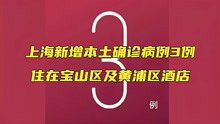 上海新增本土确诊病例3例，住在宝山区及黄浦区酒店