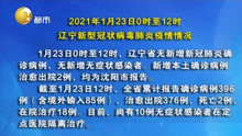2021年1月23日0时至12时 辽宁新型冠状病毒肺炎疫情情况