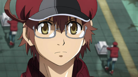 Assistir Hataraku Saibou Black - Episódio - 2 animes online