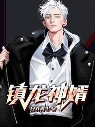镇龙神婿