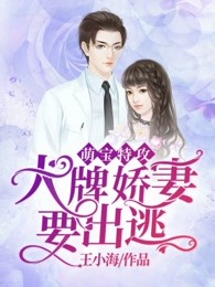 萌宝特攻：大牌娇妻要出逃