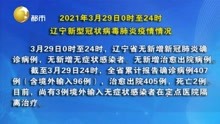 2021年3月29日0时至24时 辽宁新型冠状病毒肺炎疫情情况