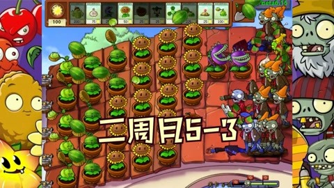 植物大战僵尸beta版(面面面团:beta版二周目5-3