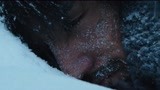 南极之恋：富春晕倒在雪地里，身陷绝境，竟是小企鹅救了他一命！