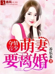 夺情言少:萌妻要离婚