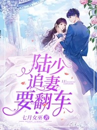 陆少追妻要翻车