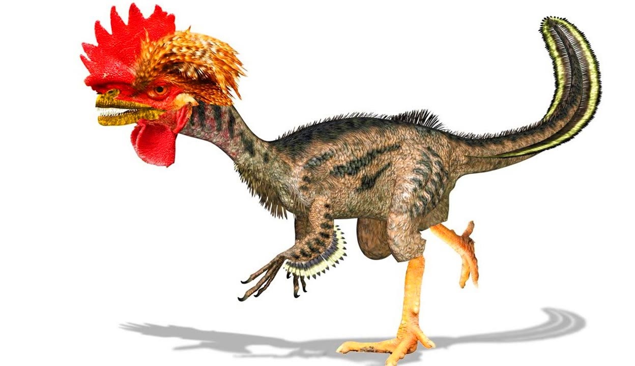 霸王龙进化成鸡图片图片