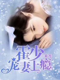 霍少宠妻上瘾