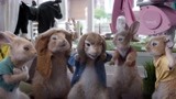 比得兔2：怎么会怪这些兔子呢，萌兔天团正式出道！