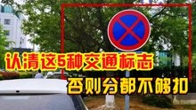 [图]新手开车上路，要认清这5种交通标志？否则一本驾驶证都不够扣？