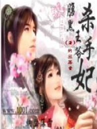 腹黑王爷杀手妃