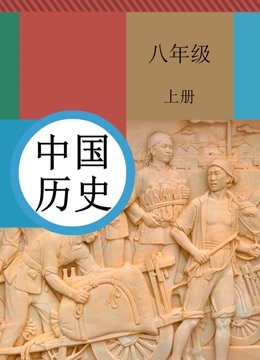 同步课:人教版初中历史八年级上册 人民解放战争的胜利