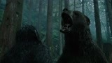 猩球崛起：猿王儿子被狗熊追杀，凯撒一声怒吼，你面前是整个猴族