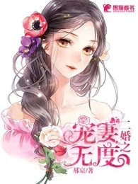 二婚之宠妻无度
