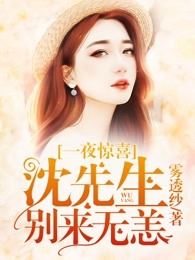 一夜惊喜：沈先生别来无恙