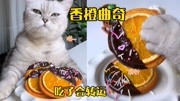 猫王做的香橙曲奇
