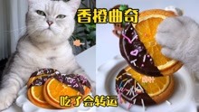 猫王：吃了会转运的香橙曲奇，年底好运