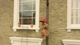 帕丁顿熊2：小熊做窗户清洁工，却连小水桶都提不起来