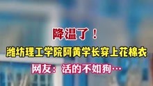 降温了！12月26日，潍坊理工学院“阿黄学长”穿上花棉衣。网友：活的不如狗……