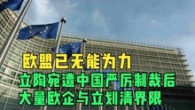 欧盟已无能为力，立陶宛遭中国严厉制裁