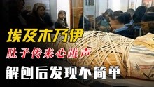 [图]埃及挖出2000年前木乃伊，肚子里传来心跳声，解剖后发现不简单