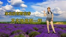 [图]热歌DJ《家花没有野花香，其实味道都一样》哥们听我讲一讲