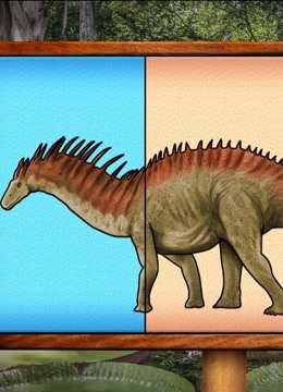 第5集 阿马加龙和其他恐龙比大小