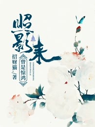 曾是惊鸿照影来