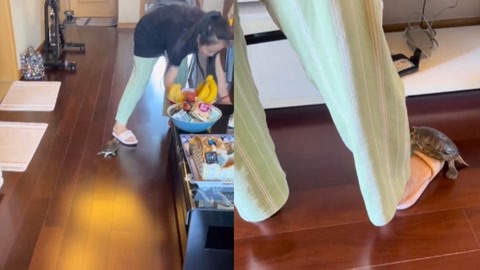 【独家原版】真实诱奸小女孩车震，全程清晰对话！奔驰小哥7分32秒 面包车大叔7分16秒[完整版] 