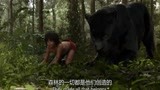 《奇幻森林》大象是森林的守护神，连黑豹都要致敬，熊孩子都看呆