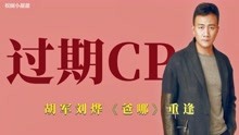 过期CP：胡军刘烨《爸爸去哪儿》同台，尴尬相处超爆笑