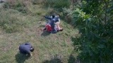 海之谣：儿子被特务杀害，母亲气绝身亡，皇甫泰丰跟敌人势不两立