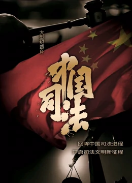 中国司法}