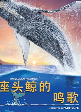 座头鲸的鸣歌}