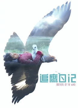 海报背景